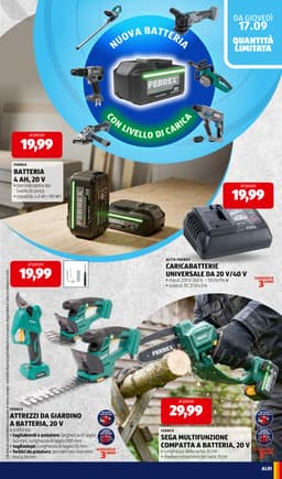 Pagina 31 del volantino ALDI Prezzi Bassi