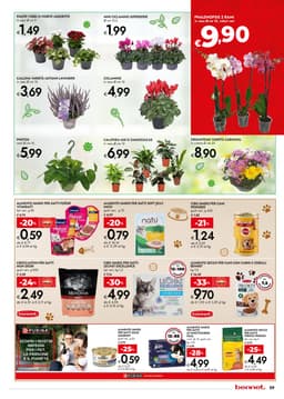 Pagina 29 del volantino Bennet 14 Giorni Mai Visti