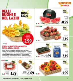 Pagina 7 del volantino Conad Spazio - Sottocosto (Lazio)