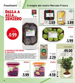 Pagina 8 del volantino Conad Spazio - Sottocosto (Lazio)