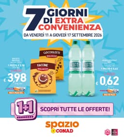 Pagina 28 del volantino Conad Spazio - Sottocosto (Lazio)