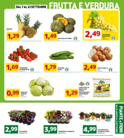 Pagina 3 del volantino Dpiù Tanti Prodotti A 0,99€