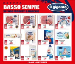 Pagina 33 del volantino Il Gigante Sconti 30% 40% 50%