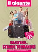 Copertina del volantino Il Gigante Catalogo Scuola