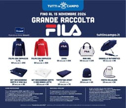 Pagina 13 del volantino Il Gigante Grandi Marche