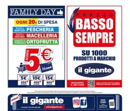 Pagina 28 del volantino Il Gigante Grandi Marche