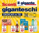 Copertina del volantino Il Gigante Sconti giganteschi