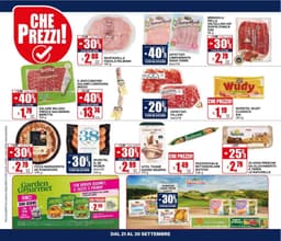 Pagina 10 del volantino Il Gigante Sconti giganteschi