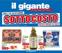 Pagina 1 del volantino Il Gigante Sottocosto