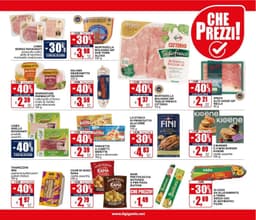 Pagina 13 del volantino Il Gigante Sottocosto