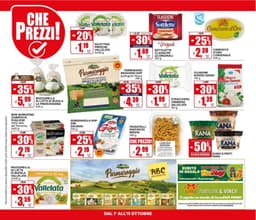 Pagina 14 del volantino Il Gigante Sottocosto