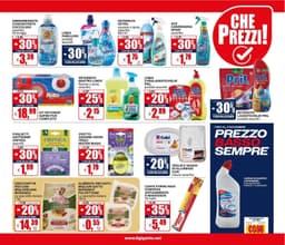 Pagina 15 del volantino Il Gigante Spacca i Prezzi