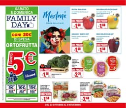 Pagina 28 del volantino Il Gigante Spacca i Prezzi