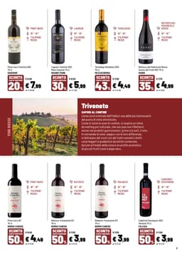 Pagina 7 del volantino Iper La grande i IL TEMPO DEL VINO