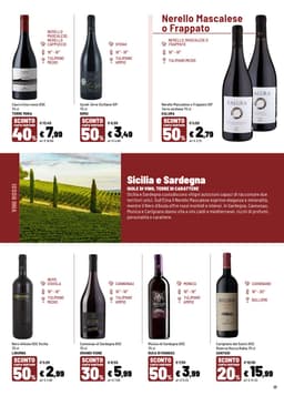 Pagina 17 del volantino Iper La grande i IL TEMPO DEL VINO