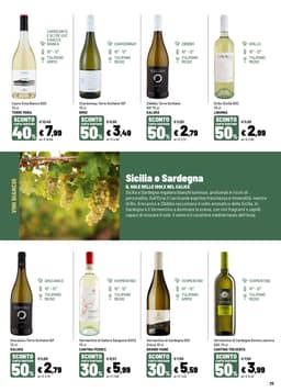 Pagina 25 del volantino Iper La grande i IL TEMPO DEL VINO