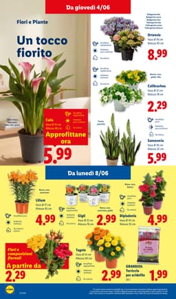 Pagina 32 del volantino Lidl Offerte della settimana