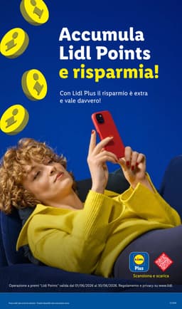 Pagina 41 del volantino Lidl Offerte della settimana