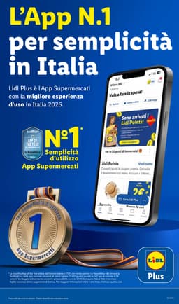 Pagina 13 del volantino Lidl Offerte della settimana