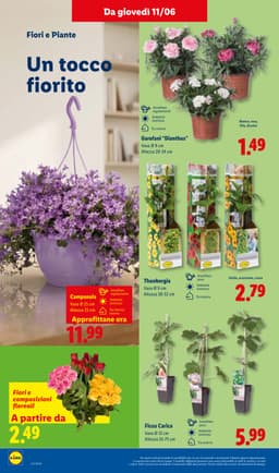 Pagina 42 del volantino Lidl Offerte della settimana
