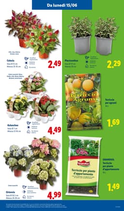 Pagina 43 del volantino Lidl Offerte della settimana