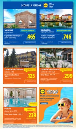 Pagina 51 del volantino Lidl Offerte della settimana