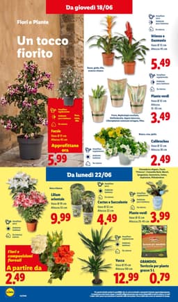 Pagina 32 del volantino Lidl L'Estate Del Risparmio