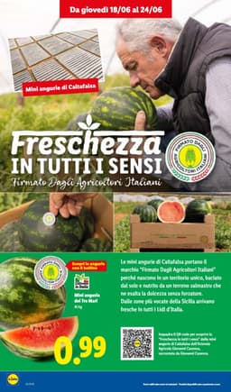 Pagina 4 del volantino Lidl L'Estate Del Risparmio
