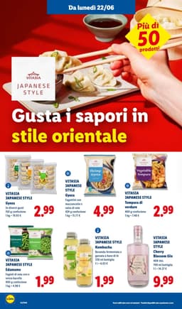 Pagina 42 del volantino Lidl L'Estate Del Risparmio