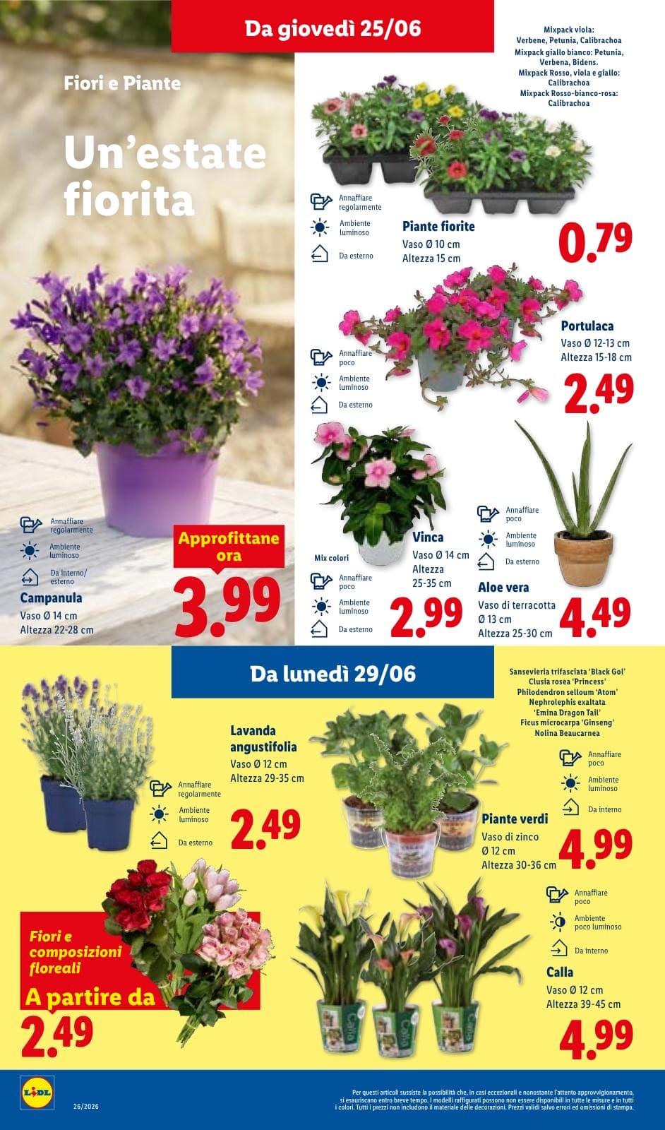 Pagina 36. del volantino Lidl - L'estate del risparmio