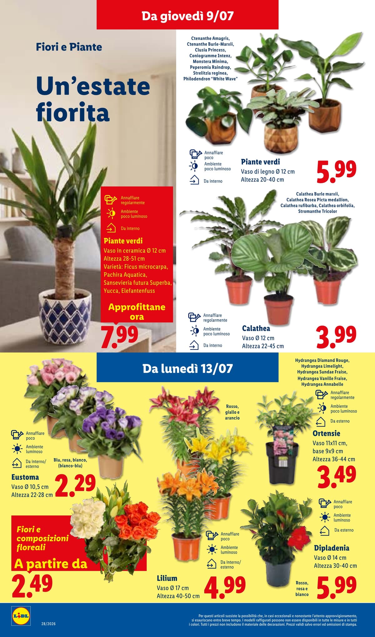 Pagina 36. del volantino Lidl - L'Estate Del Risparmio dal 14/07/2026