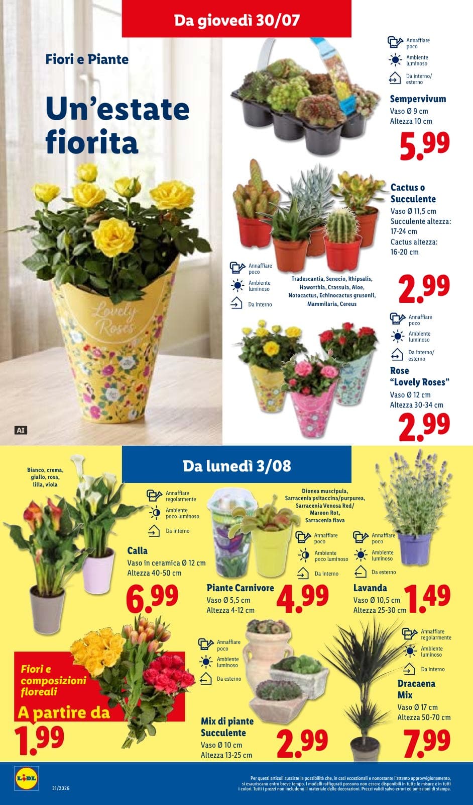 Pagina 30. del volantino Lidl - L'estate del risparmio dal 28/07/2026