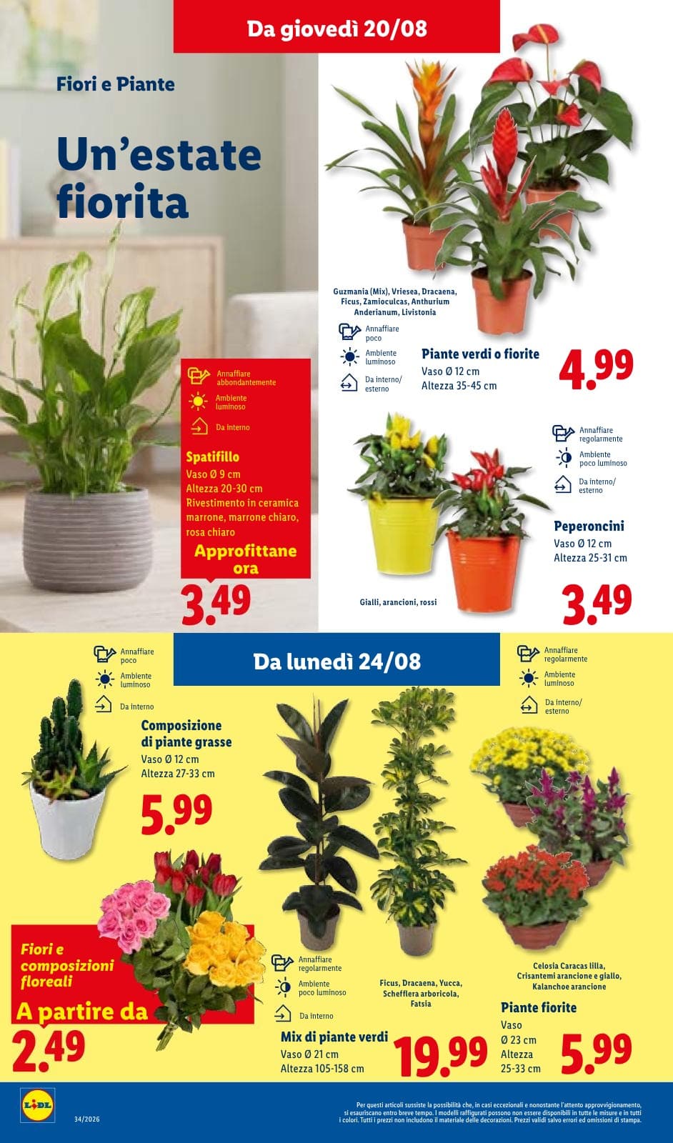 Pagina 26. del volantino Lidl - XXL