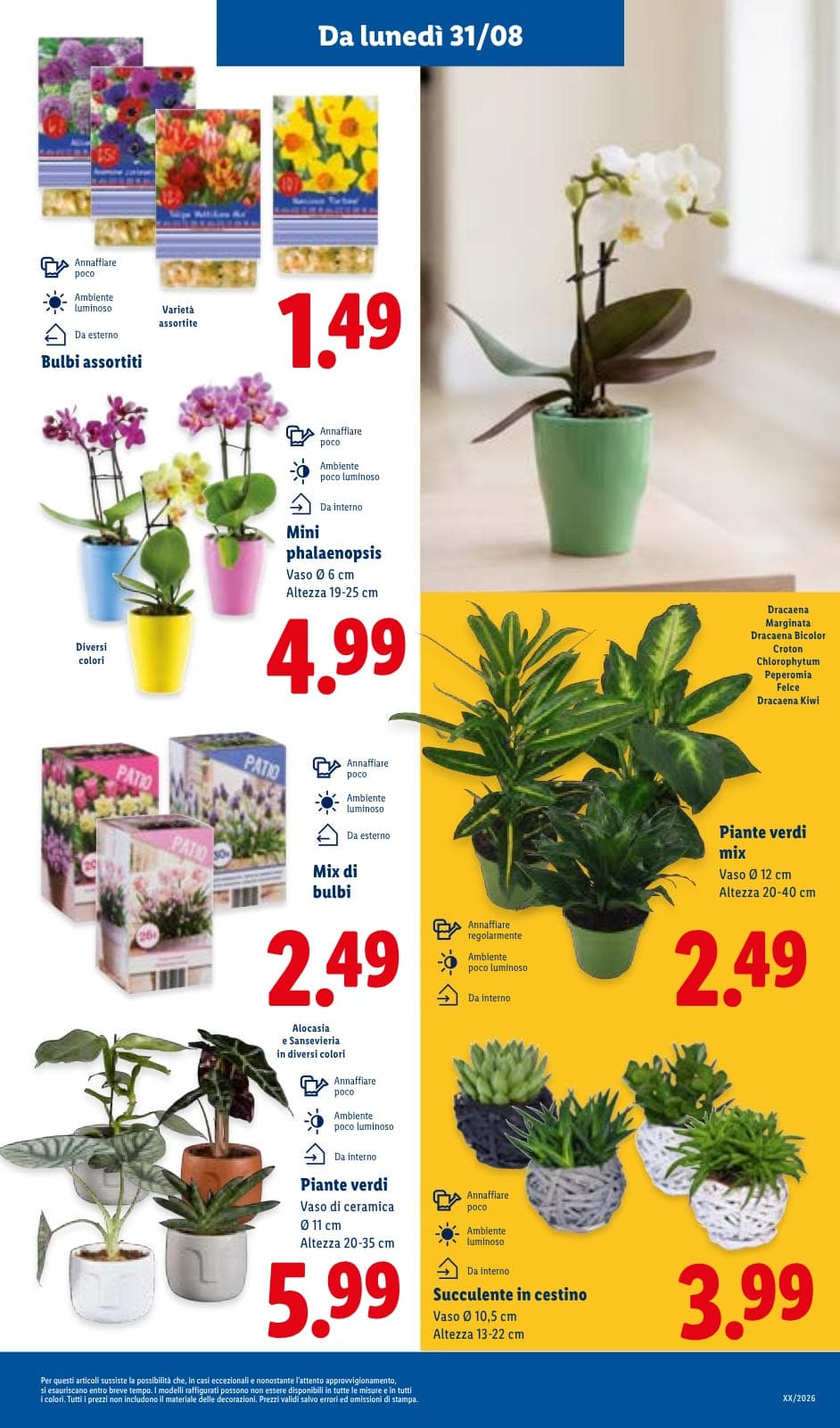 Pagina 33. del volantino Lidl - Super Offerte