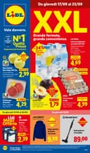 Copertina del volantino Lidl XXL