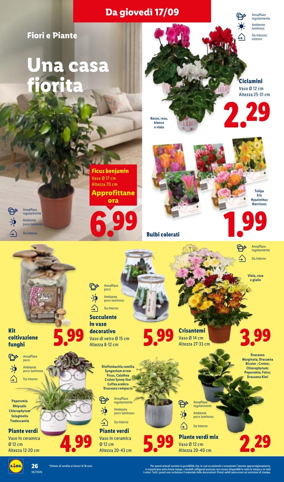 Pagina 32. del volantino Lidl - XXL