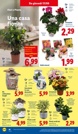 Pagina 32 del volantino Lidl XXL