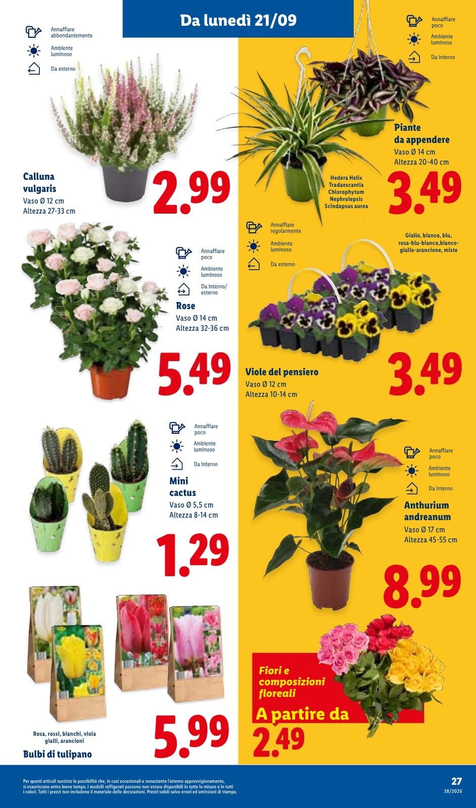 Pagina 33. del volantino Lidl - XXL
