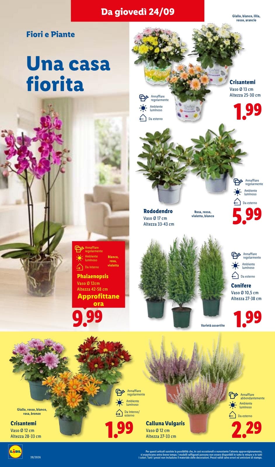 Pagina 42. del volantino Lidl - Sotto Prezzi