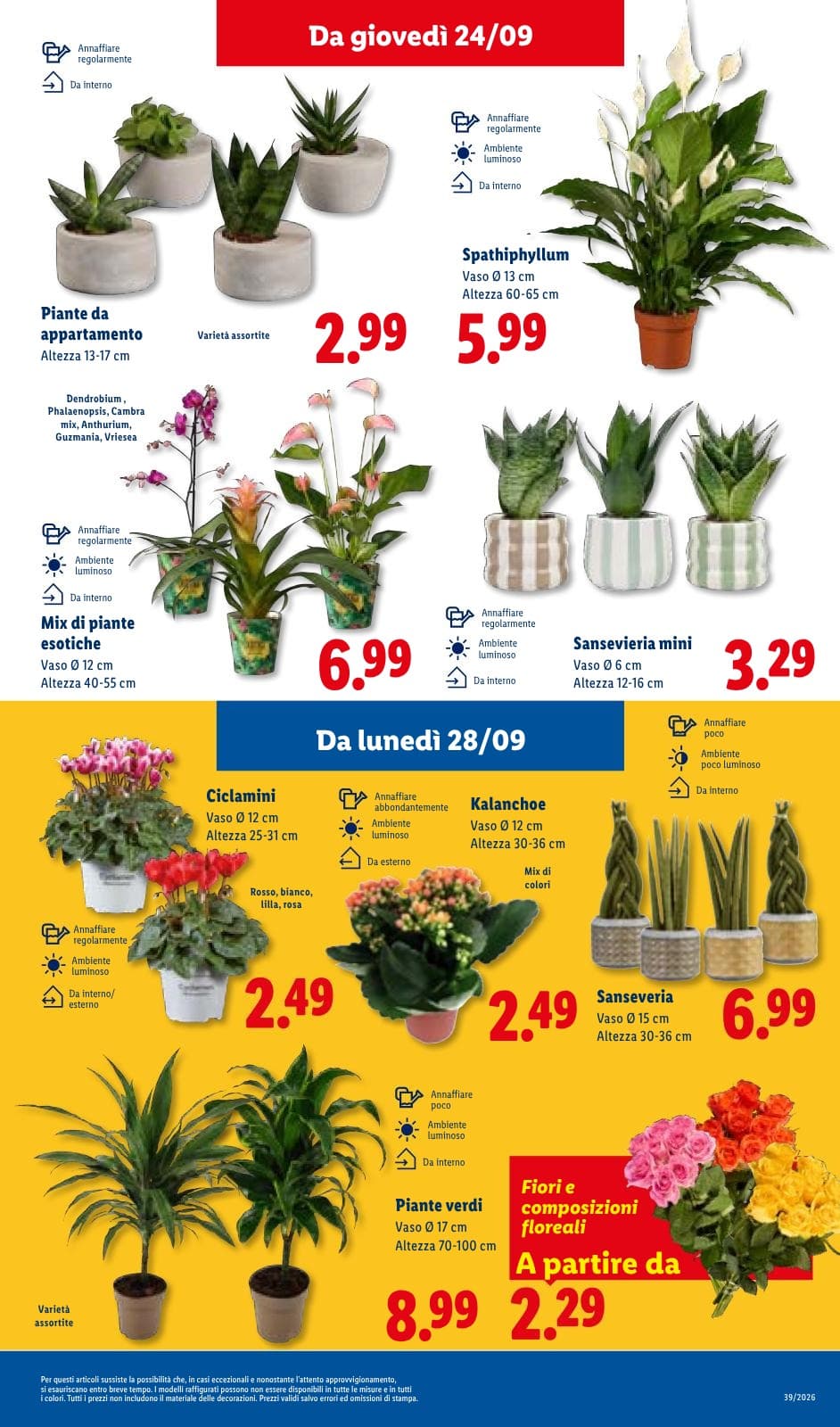 Pagina 43. del volantino Lidl - Sotto Prezzi