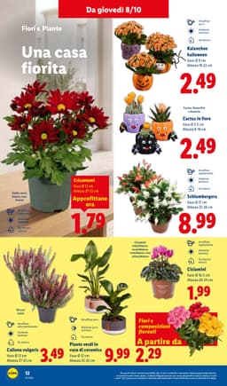 Pagina 32 del volantino Lidl Super Offerte