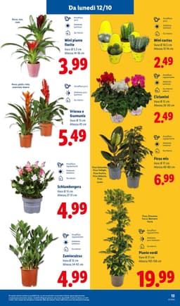 Pagina 33 del volantino Lidl Super Offerte