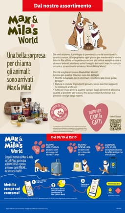 Pagina 43 del volantino Lidl Super Offerte