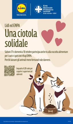 Pagina 31 del volantino Lidl XXL