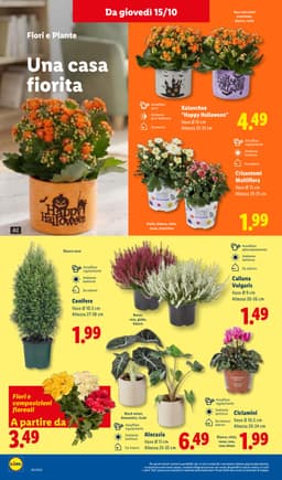Pagina 44 del volantino Lidl XXL