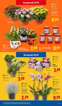 Pagina 45 del volantino Lidl XXL