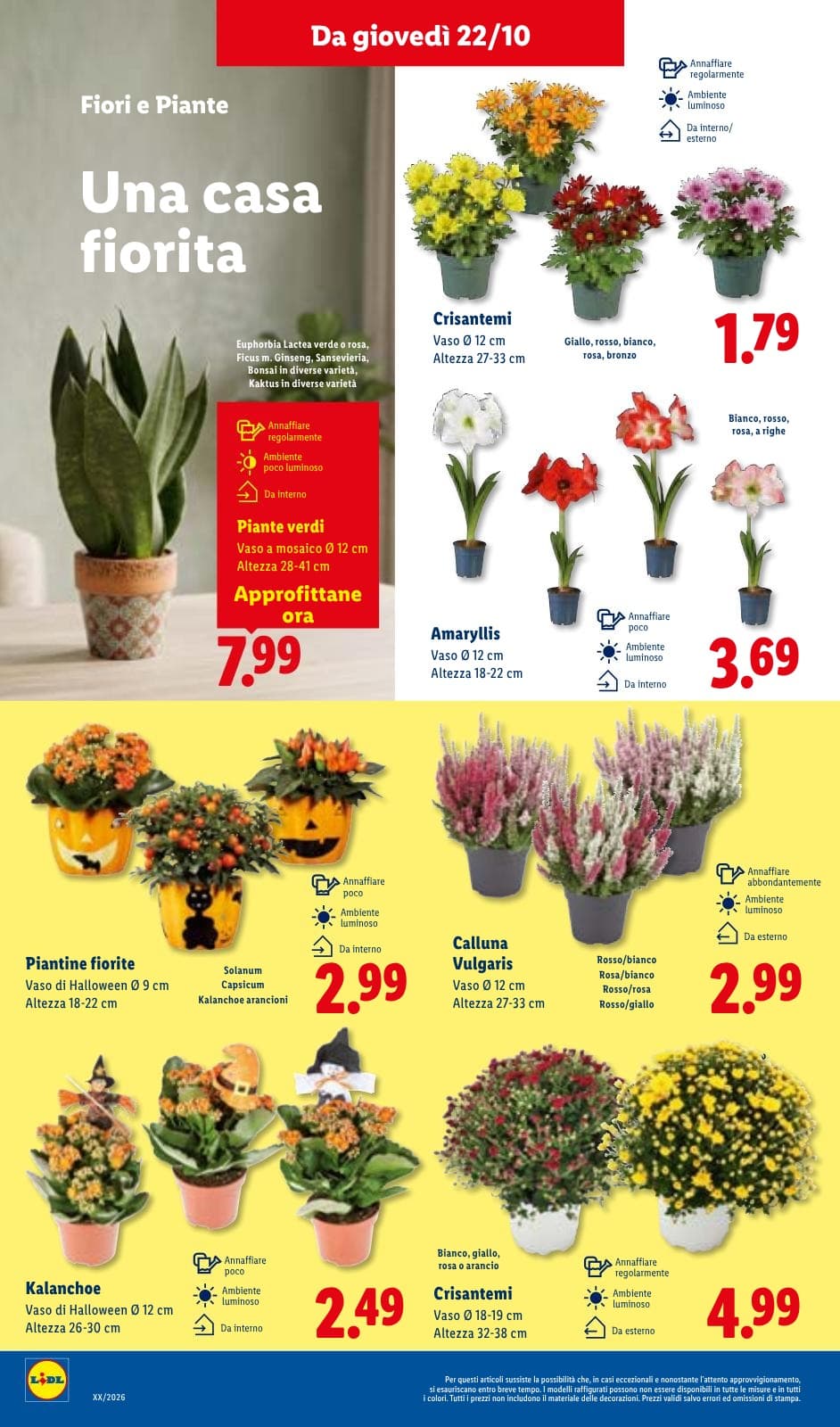 Pagina 34. del volantino Lidl - Piccoli Prezzi