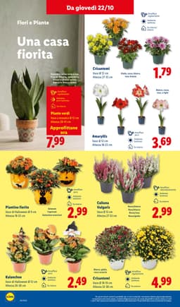 Pagina 34 del volantino Lidl Piccoli Prezzi