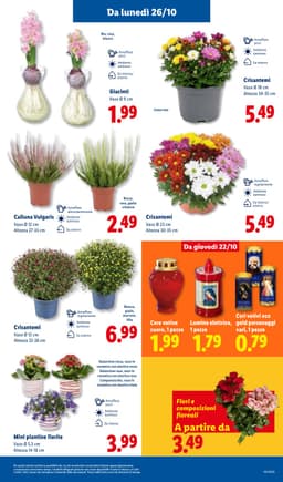 Pagina 35 del volantino Lidl Piccoli Prezzi
