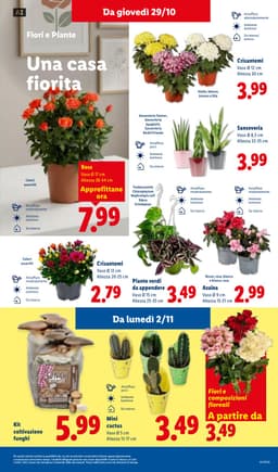 Pagina 39 del volantino Lidl La convenienza deluxe